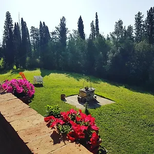 Bed & Breakfast Niccoli, Castelfiorentino